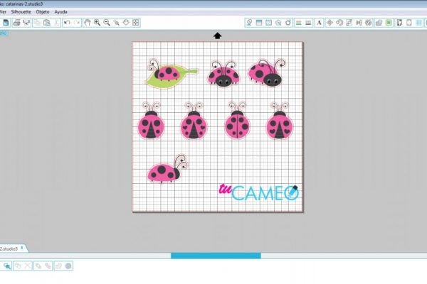 , Catarinas hermosas para tus proyectos de cameo