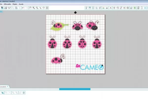 , Catarinas hermosas para tus proyectos de cameo