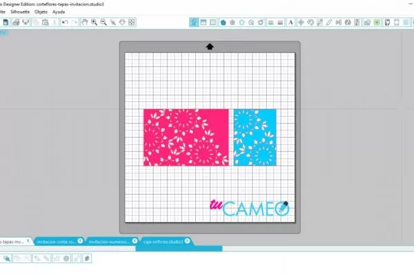 , Invitación de corte para tu cameo