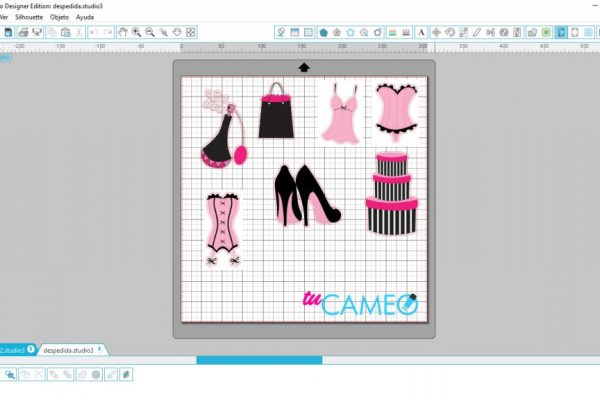 , Despedida de soltera para cameo silhouette