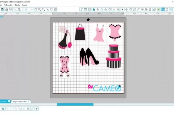 , Despedida de soltera para cameo silhouette