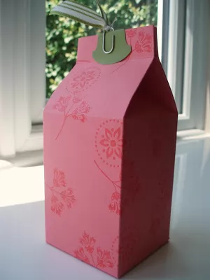 , Caja de Leche para cameo silhouette