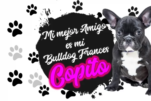 , Taza para sublimar con diseño de perros